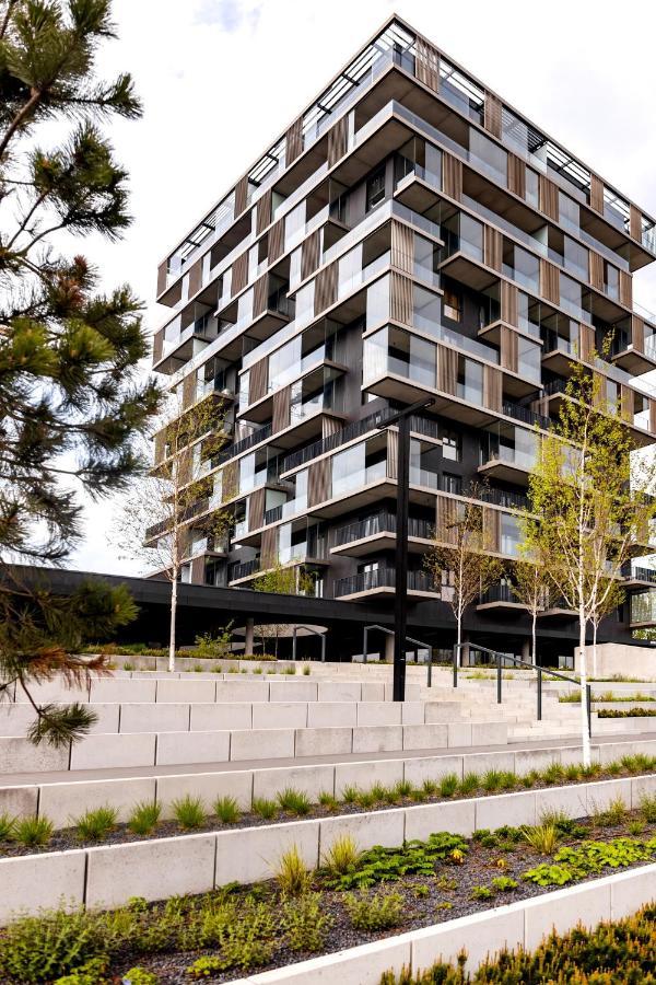 Downtown Apartments ,Next To Spodek-Free Parking 卡托维兹 外观 照片