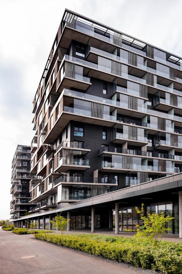 Downtown Apartments ,Next To Spodek-Free Parking 卡托维兹 外观 照片